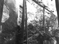 treppenaufgang